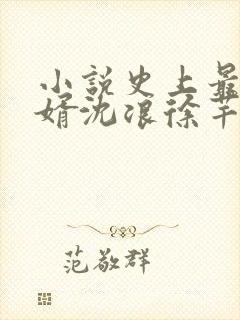 小说史上最强赘婿沈浪徐芊芊