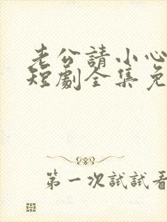 老公请小心前妻短剧全集免费播放