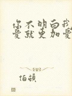 你不明白我说不爱就更加爱什么歌