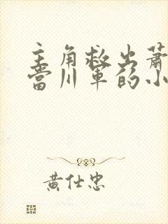 主角救出萧雅后当川军的小说