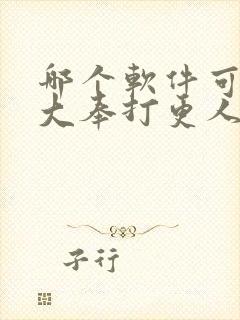 哪个软件可以看大奉打更人免费