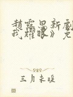 赵露思新剧《许我耀眼》免费观看27