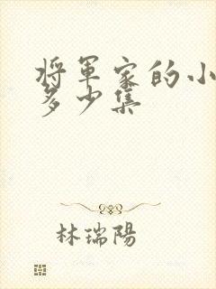 将军家的小娘子多少集