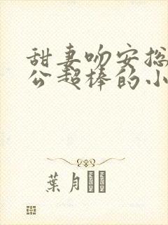 甜妻吻安总裁老公超棒的小说txt