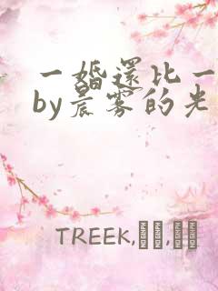 一婚还比一婚高by晨雾的光小说免费阅读