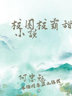 校园校霸甜宠文 小说