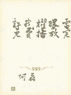 许我耀眼电视剧免费播放完整版