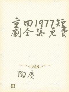 重回1977短剧全集免费观看高清