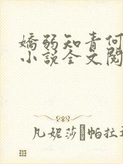 娇弱知青何净远小说全文阅读