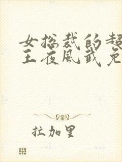 女总裁的超级兵王夜风武免费阅读全文