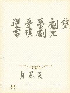 逆爱台剧双男主电视剧免