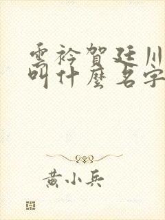 云衿贺廷川小说叫什么名字