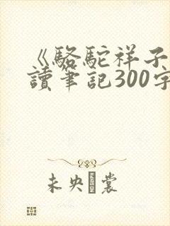 《骆驼祥子》阅读笔记300字