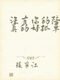 没有你的陪伴我真的好孤单下一句