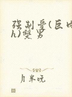 强制爱(巨肉高h)双男