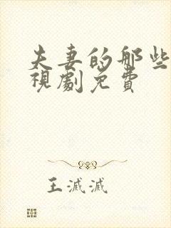 夫妻的那些事电视剧免费