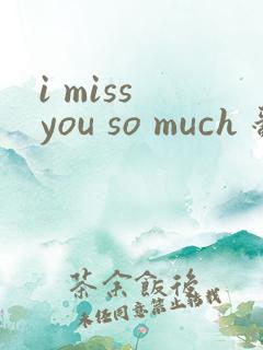 i miss you so much 翻译成中文