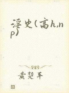 淫史(高h,np)