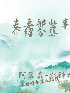 夫妻那些事剧情介绍分集