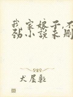 我家娘子,不对劲小说未删减完整版