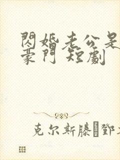 闪婚老公是超级豪门 短剧