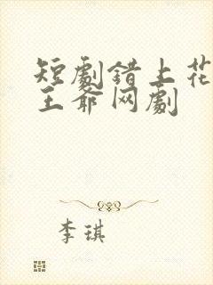 短剧错上花轿嫁王爷网剧