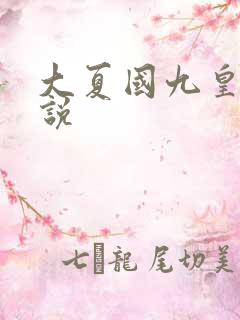 大夏国九皇子小说