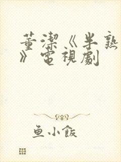 董洁《半熟恋人》电视剧