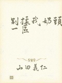 别揉我奶头嗯啊一区