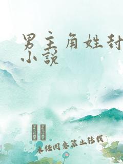 男主角姓封全部小说