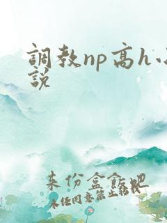 调教np高h小说