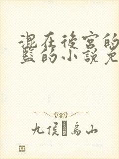 混在后宫的假太监的小说免费阅读