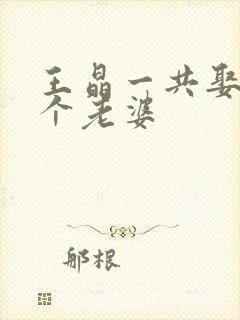 王晶一共娶了几个老婆