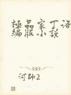 极品家丁洛凝改编版小说