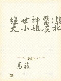 绝世神医:腹黑大小姐夜北