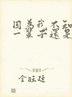 因为我不知道下一辈子还是否能遇见你