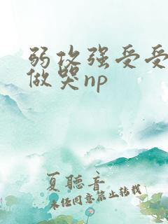 弱攻强受受把攻做哭np