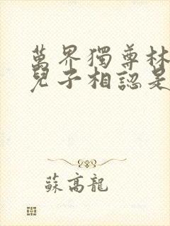 万界独尊林枫与儿子相认是哪一集