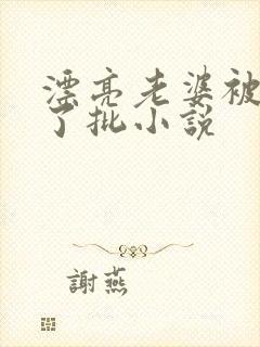 漂亮老婆被玩坏了批小说