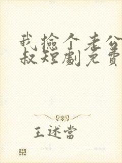 我捡个老公是大叔短剧免费观看