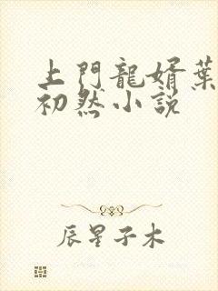 上门龙婿叶辰萧初然小说