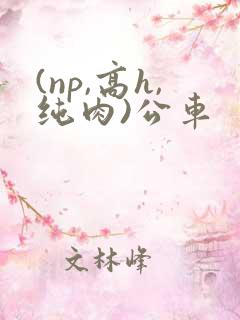 (np,高h,纯肉)公车
