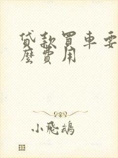 贷款买车要交什么费用