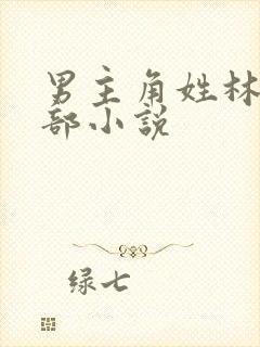 男主角姓林的全部小说