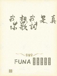 我想我是真的爱你歌词