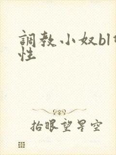 调教小奴bl双性