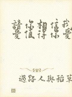 请你相信我给的爱值得你爱是什么歌