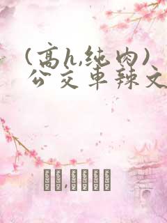 (高h,纯肉)公交车辣文