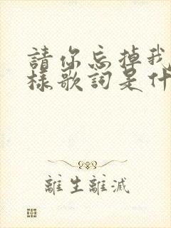 请你忘掉我的模样歌词是什么歌