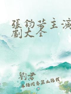 张钧若主演电视剧大全